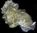 Gemmy, Golden Barite Crystals - Meikle Mine, Nevada #33712-5